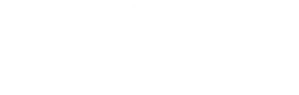 Pizza 360 B2B softwarová řešení